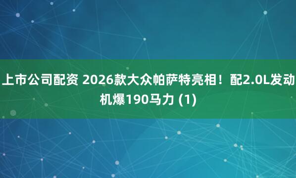 上市公司配资 2026款大众帕萨特亮相！配2.0L发动机爆190马力 (1)