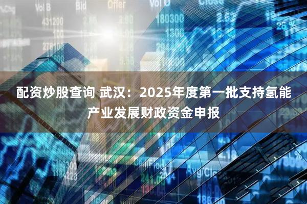 配资炒股查询 武汉：2025年度第一批支持氢能产业发展财政资金申报