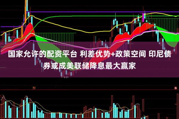 国家允许的配资平台 利差优势+政策空间 印尼债券或成美联储降息最大赢家