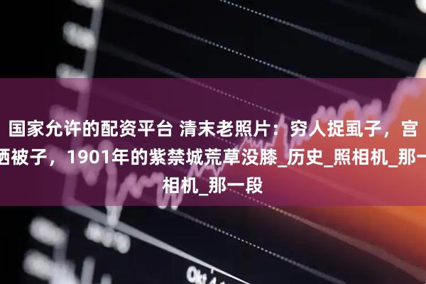 国家允许的配资平台 清末老照片：穷人捉虱子，宫女晒被子，1901年的紫禁城荒草没膝_历史_照相机_那一段